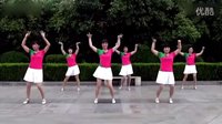 动动广场舞2016年最新广场舞