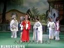 白字戏全集与海丰潮州大锣鼓