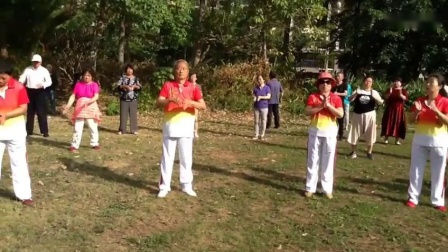 太极十二拍视频全套