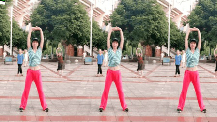最火最好看的广场舞视频2018